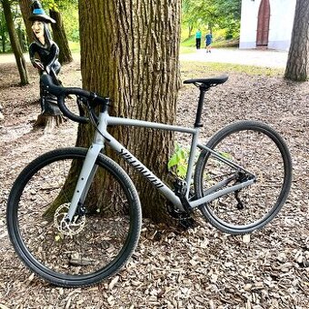 SPECIALIZED DIVERGE E5 ELITE ASHGRY/OBSD 54