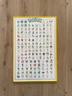 Pokemon obraz