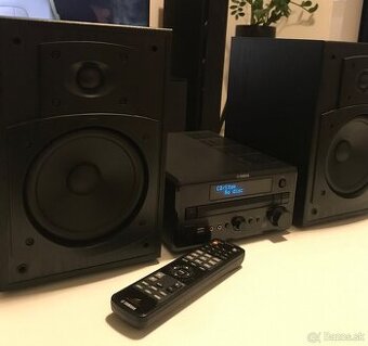Predam hifi Yamaha CRX - E320