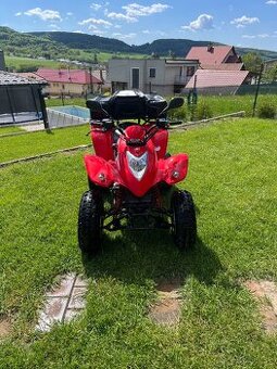 Kymco kxr 250