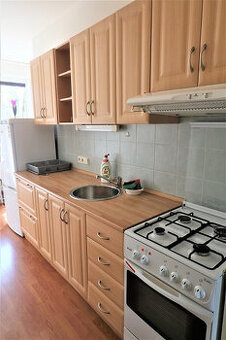 Prenájom veľkého 2 - izbového bytu Hliny 8