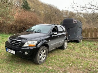 Preprava koní, tréningy, vychádzky