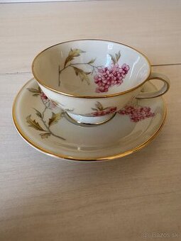 Stará porcelánová šálka s podšalkou Hutschenreuther  Selb