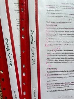 MATURITNÉ TÉMY - SLOVENSKÝ JAZYK A LIT