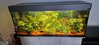 Akvárium 240l