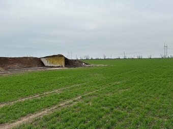 Investičný pozemok 28 249 m² neďaleko Trnavy na predaj