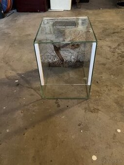 Terarium