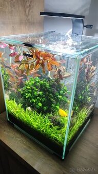 Predám akvárium - 1