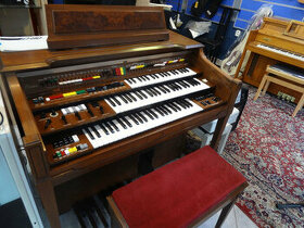 Organ Yamaha D80