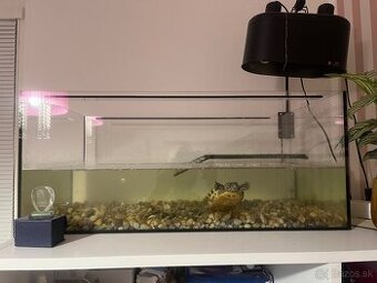 Predám akvárium.
