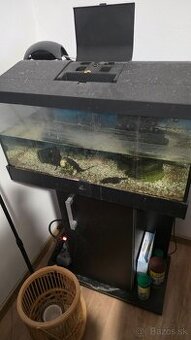 Predam akvarium 60x30 s prisavnikmi