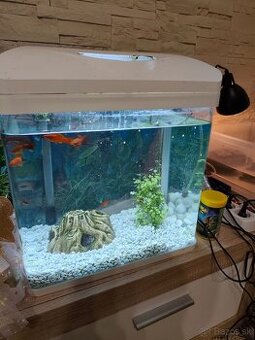Predám akvárium 29 litrov