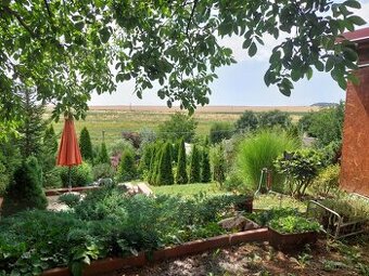 Na predaj slnečný pozemok – Čankov (Levice) 🌿☀️