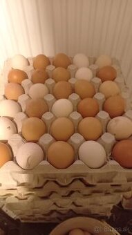 predam domace vajíčka