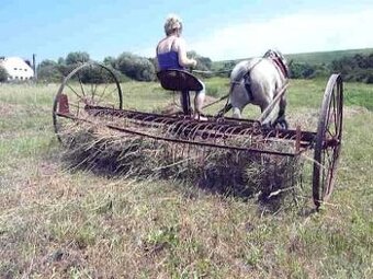 Konská hrabacka