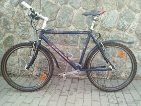 Dema asti