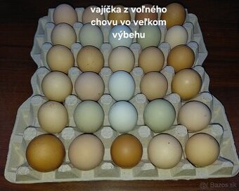 Domáce vajíčka