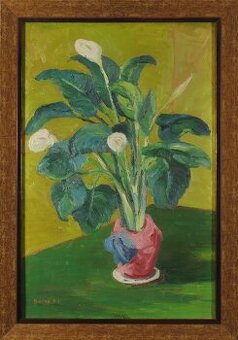 Béla Bacskai - Lopatkovec (Spathiphyllum) na zelenom stole