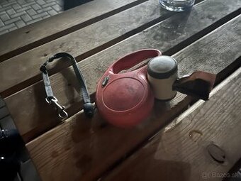 predam voditko pre psa