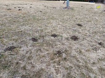 HALO reality - Predaj, rekreačný pozemok Nálepkovo, Zahájnic
