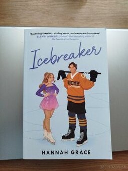 Icebreaker - Hannah Grace