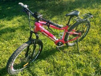 Predam e-bike Crussis OL E-Guera 8.7