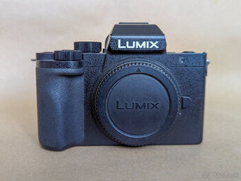 Panasonic Lumix G100