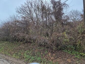 Pozemok Horné Trhoviste - 1