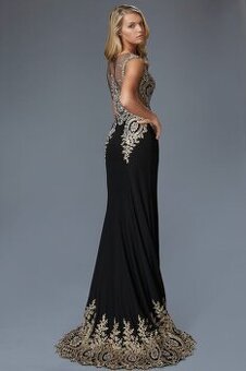 Spolocenske dlhe saty