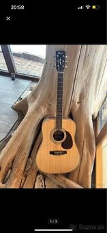 Gitara Cort Earth 70W