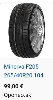 Minerva 265/40/20 - 1