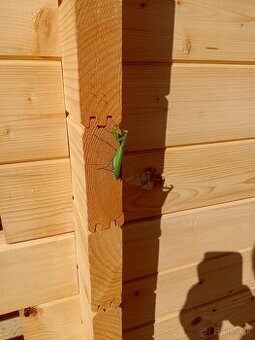 Drevenica(k montáži)