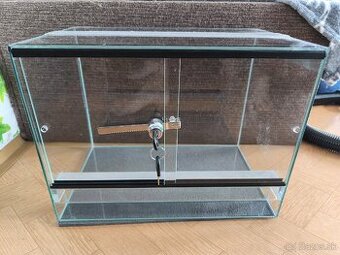 Predam terarium
