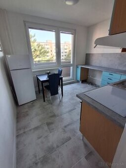 Prenajom 2 izboveho bytu