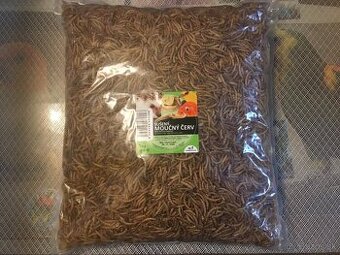 Predám nepotrebné krmivo pre exoty a papagaje: