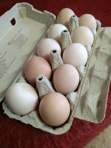 Slepačie vajíčka
