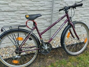 Cestný bicykel s nosičom