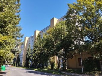 Byt po úplnej rekonštrtukcii Stará Sásová BB