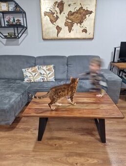 Konferenčný stolík - masív, kovové nohy