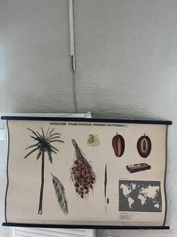 Retro plagát - učebná pomôcka