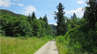 ponuknite pozemok 1000-2000m2 na okraji dediny, lesa