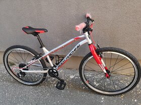 (NOVÝ) bicykel Rock Machine THUNDER 24 PRE DETI (strieborna)