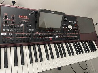 Korg Pa1000
