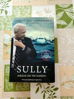 Sully - Miracle on the Hudson