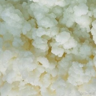 Predam - Tibetská Huba