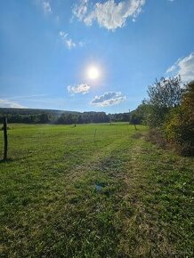 ustajnenie koni, vychadzky vodenie pre deti