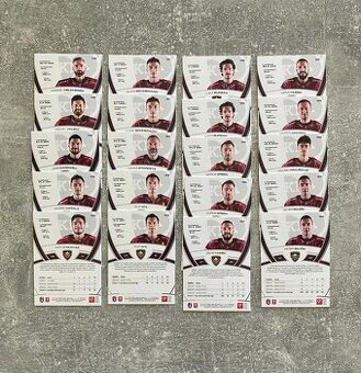 Hokejové kartičky TIPOS EXTRALIGA 2024/2025 base