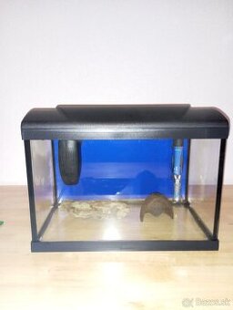 Predám akvárium