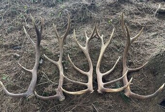 Parohy,parožie,zhody