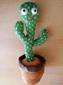 Predám Tancujúci Kaktus